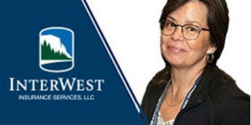 IWINS-News Section-Maki-Green