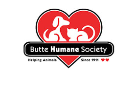 butte humane