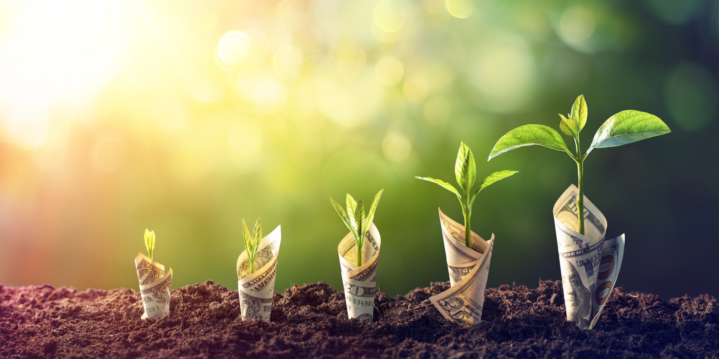 grow money grow money