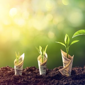 grow money grow money