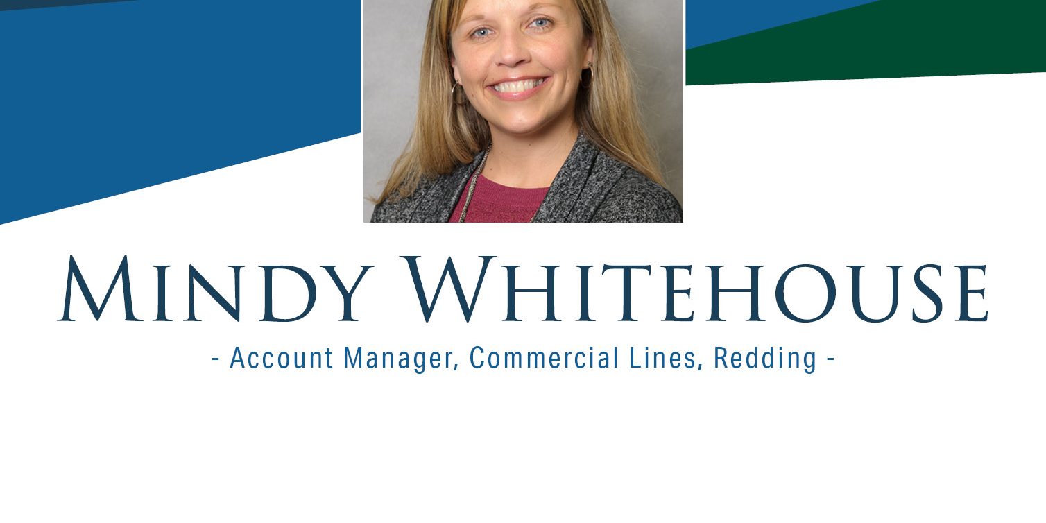 Mindy Whitehouse – Web