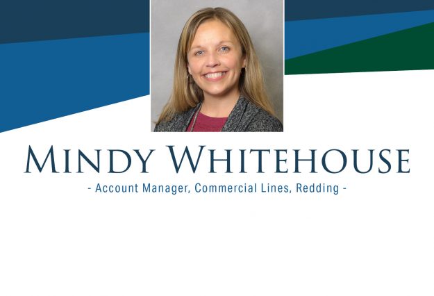 Mindy Whitehouse – Web
