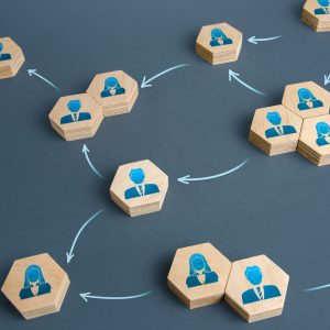 Communication of people in the business of the company. Delegation of work and responsibilities. Functioning of departments and divisions of the company. Decentralized networking. Teamwork cooperation