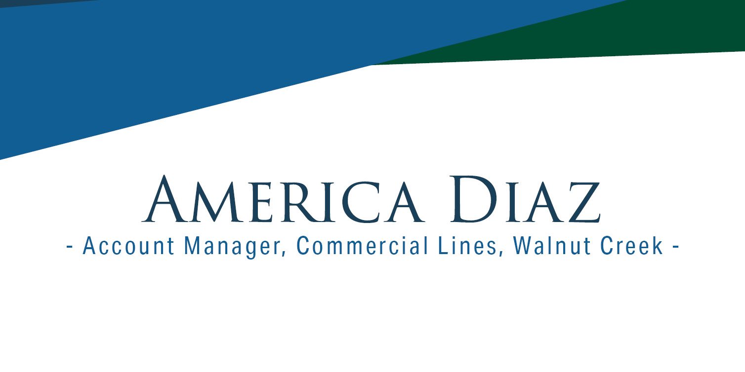 Intranet—America-Diaz