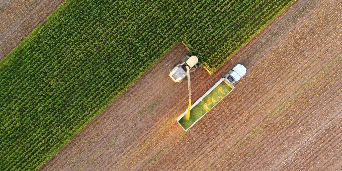 labor shortage labor shortage