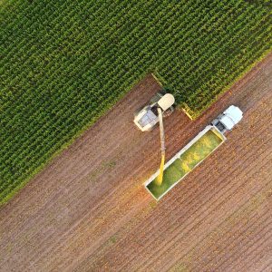 labor shortage labor shortage